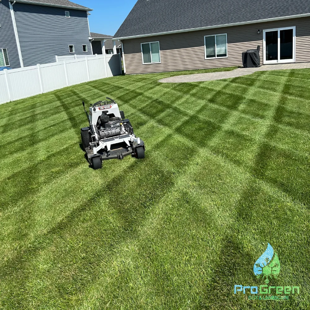 Freshly cut striped lawn after ProGreen service