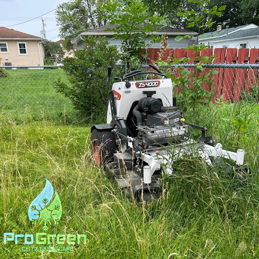Overgrown lawn before ProGreen service